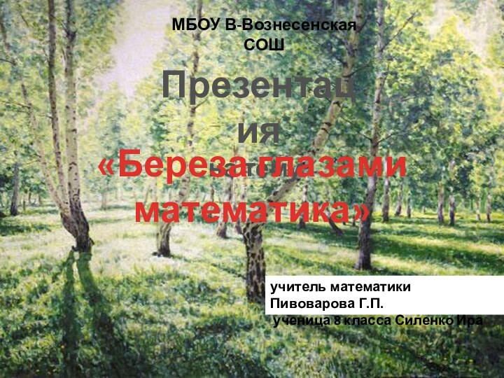 Презентацияна тему:«Береза глазами математика»МБОУ В-Вознесенская СОШучитель математики Пивоварова Г.П. ученица 8 класса Силенко Ира