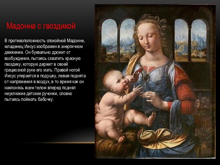 Мадонна с гвоздикойВ противоположность спокойной Мадонне, младенец Иисус изображен в энергичном движении. Он