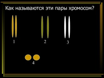 Как называются эти пары хромосом?