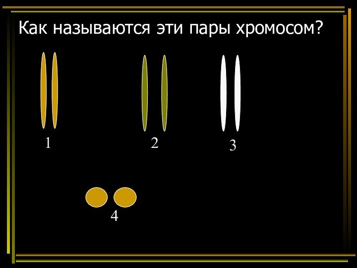 Как называются эти пары хромосом?1234