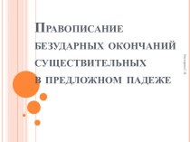 Правописание безударных окончаний существительных