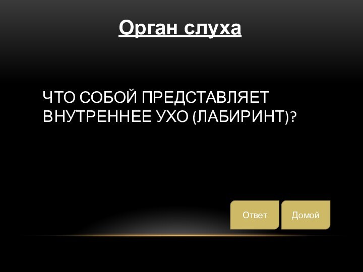 Что собой представляет внутреннее ухо (лабиринт)?ДомойОтветОрган слуха