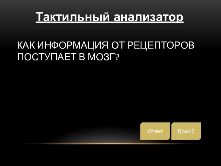 Как информация ОТ РЕЦЕПТОРОВ поступает в мозг?ДомойОтветТактильный анализатор