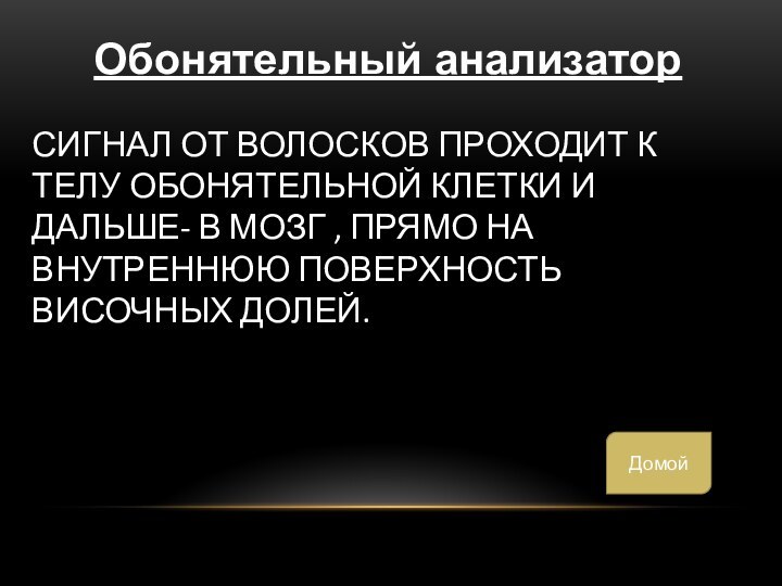 Сигнал от волосков проходит к телу обонятельной клетки и дальше- в мозг