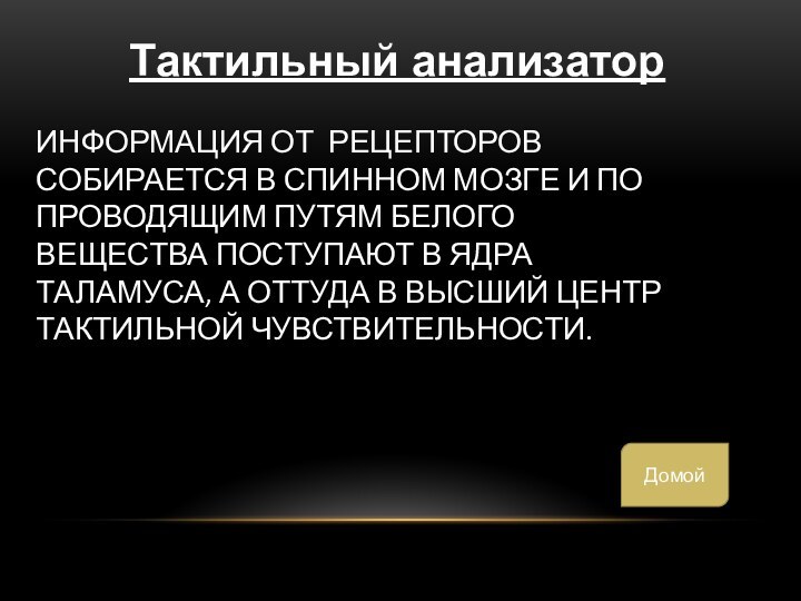 Информация ОТ рецепторов собирается в спинном мозге и по проводящим путям белого