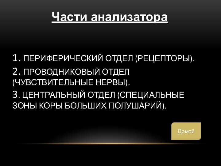 1. Периферический отдел (рецепторы). 2. Проводниковый отдел (чувствительные нервы). 3. Центральный отдел