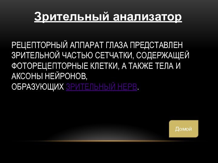 Рецепторный аппарат глаза представлен зрительной частью сетчатки, содержащей фоторецепторные клетки, а также