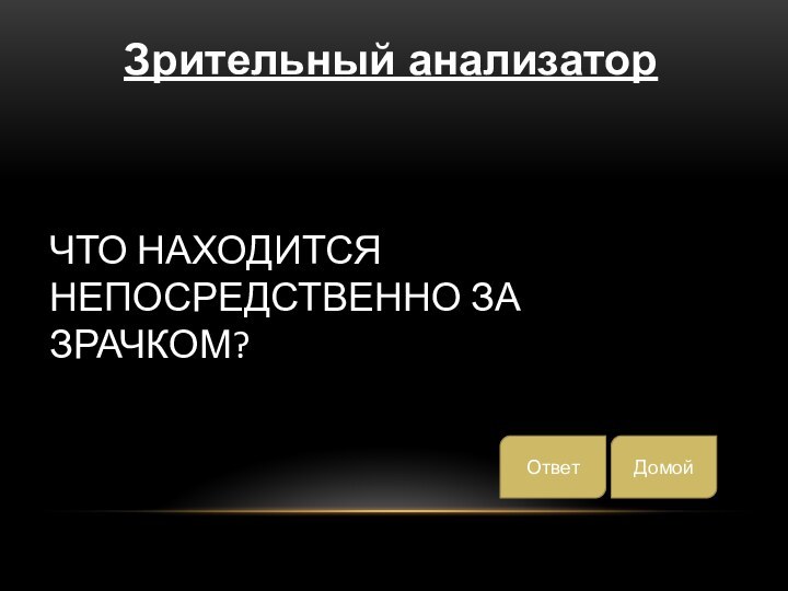 Что находится непосредственно за зрачком?ДомойЗрительный анализаторОтвет