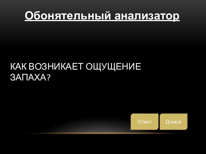 Как возникает ощущение запаха?ДомойОтветОбонятельный анализатор