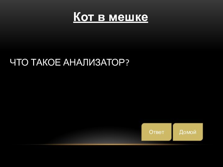 Что такое анализатор? Кот в мешкеДомойОтвет