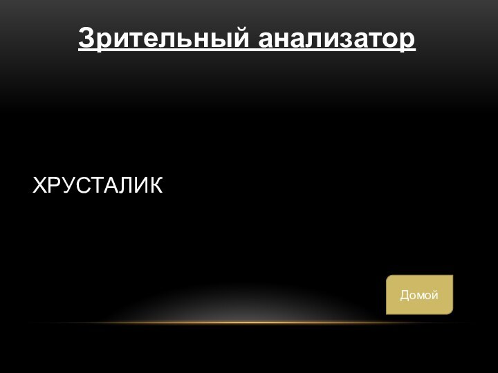 хрусталикЗрительный анализаторДомой