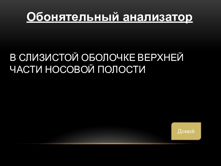 В слизистой оболочке верхней части носовой полостиОбонятельный анализаторДомой