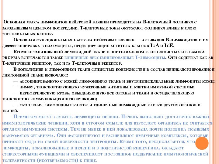 Основная масса лимфоцитов пейеровой бляшки приходится на В-клеточный фолликул с зародышевым