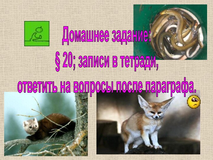 Домашнее задание: § 20; записи в тетради, ответить на вопросы после параграфа.