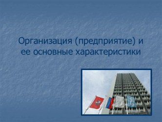 Организация и ее основные характеристики