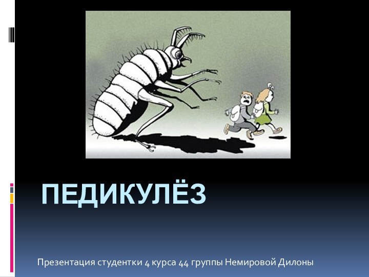 Педикулёз Презентация студентки 4 курса 44 группы Немировой Дилоны