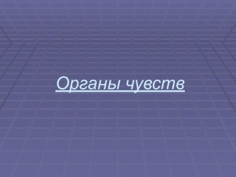 Органы чувств