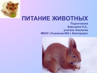 Питание животных