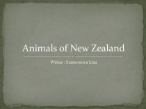 Animals of new zealand