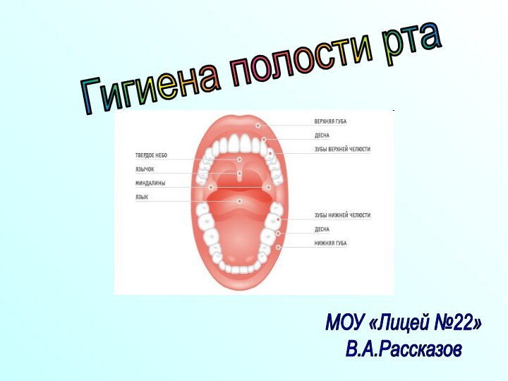 Гигиена полости ртаМОУ «Лицей №22»В.А.Рассказов