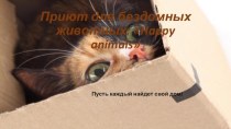 Приют для бездомных животных: happy animals