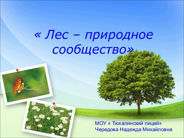 « Лес – природное сообщество»МОУ « Тюкалинский лицей»Чередова Надежда Михайловна