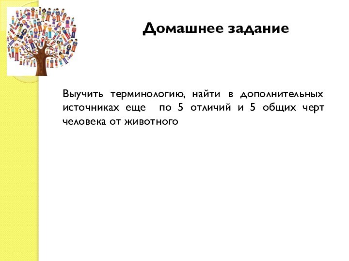 Домашнее заданиеВыучить терминологию, найти в дополнительных источниках еще по 5 отличий и