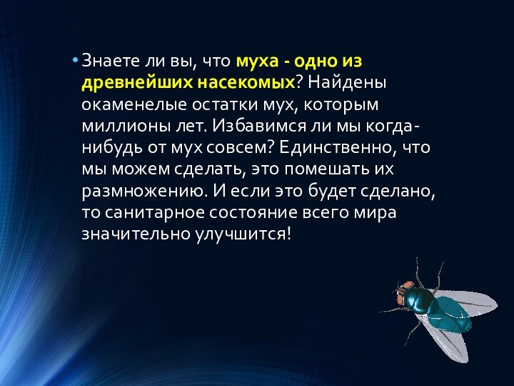 Знаете ли вы, что муха - одно из древнейших насекомых? Найдены окаменелые