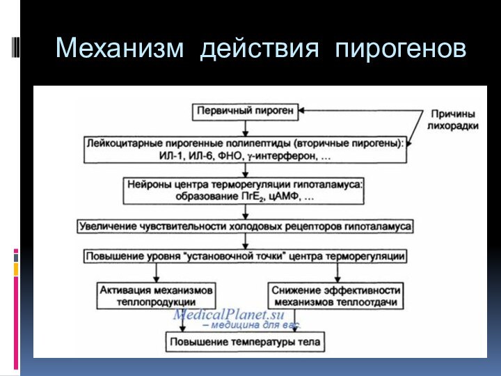 Механизм действия пирогенов