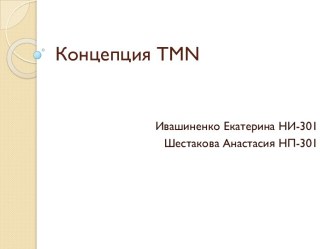 Концепция tmn