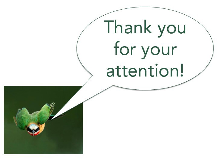 Thank you for your attention!