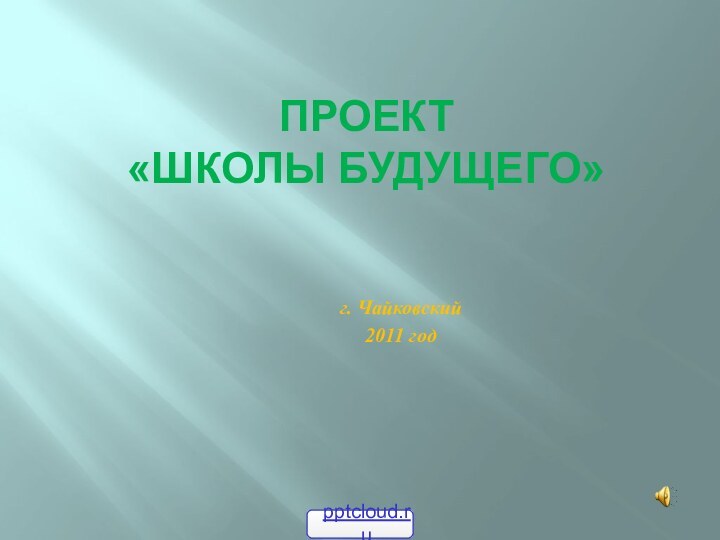 Проект  «Школы будущего»г. Чайковский2011 год