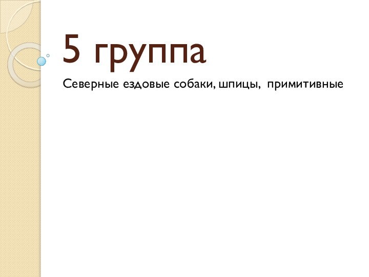 5 группаСеверные ездовые собаки, шпицы, примитивные