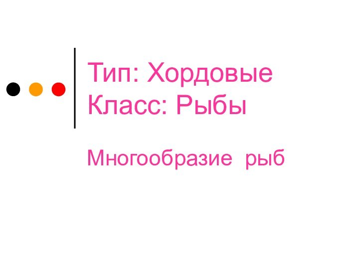 Тип: Хордовые Класс: РыбыМногообразие рыб