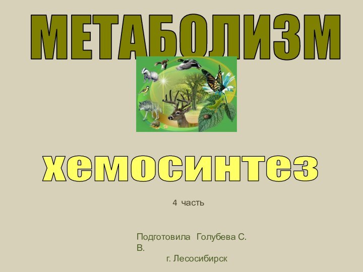 МЕТАБОЛИЗМхемосинтезПодготовила  Голубева С.В. г. Лесосибирск 4 часть