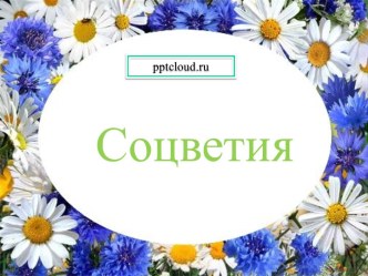 Соцветия