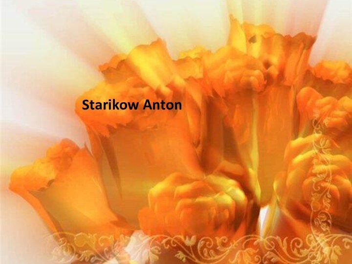 Starikow Anton