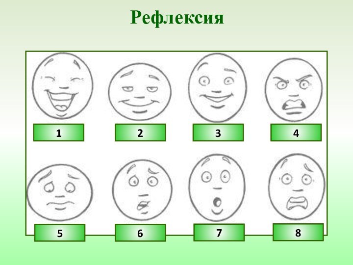 Рефлексия