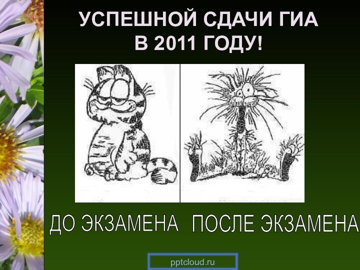 УСПЕШНОЙ СДАЧИ ГИА В 2011 ГОДУ! ДО ЭКЗАМЕНАПОСЛЕ ЭКЗАМЕНА