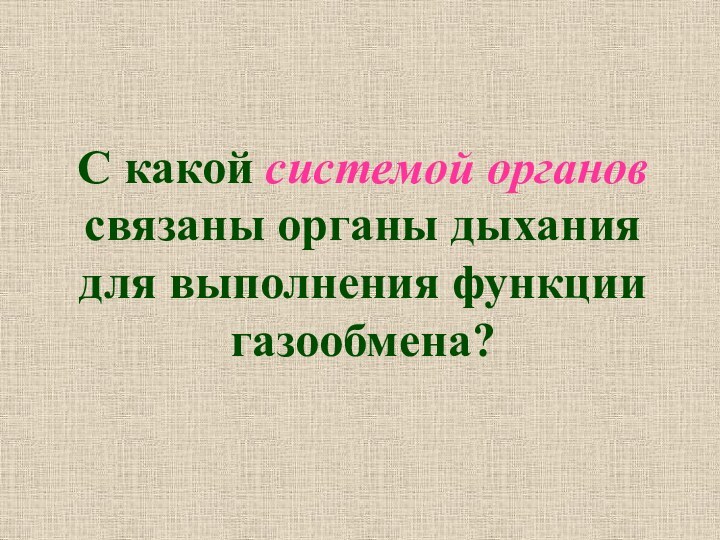 С какой системой органов связаны органы дыхания для выполнения функции газообмена?