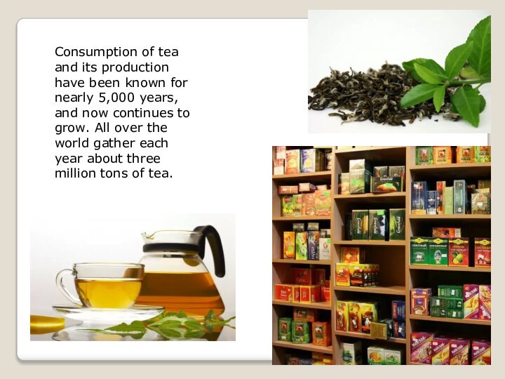Consumption of tea and its production have been known for nearly 5,000