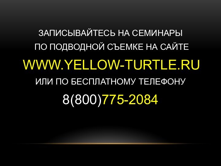 ЗАПИСЫВАЙТЕСЬ НА СЕМИНАРЫ ПО ПОДВОДНОЙ СЪЕМКЕ НА САЙТЕ WWW.YELLOW-TURTLE.RUИЛИ ПО БЕСПЛАТНОМУ ТЕЛЕФОНУ8(800)775-2084