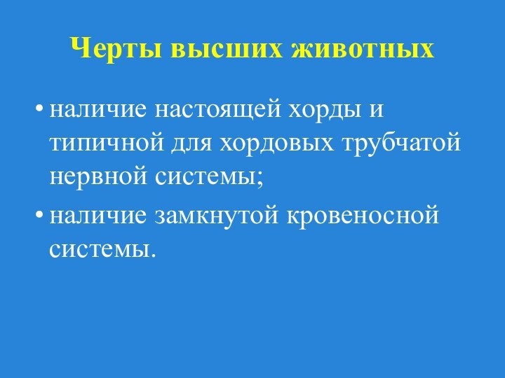 Черты высших животныхналичие настоящей хорды и типичной для хордовых трубчатой нервной системы;наличие замкнутой кровеносной системы.