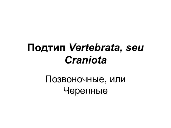 Подтип Vertebrata, seu CraniotaПозвоночные, или Черепные