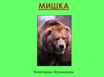 Мишка косолапый