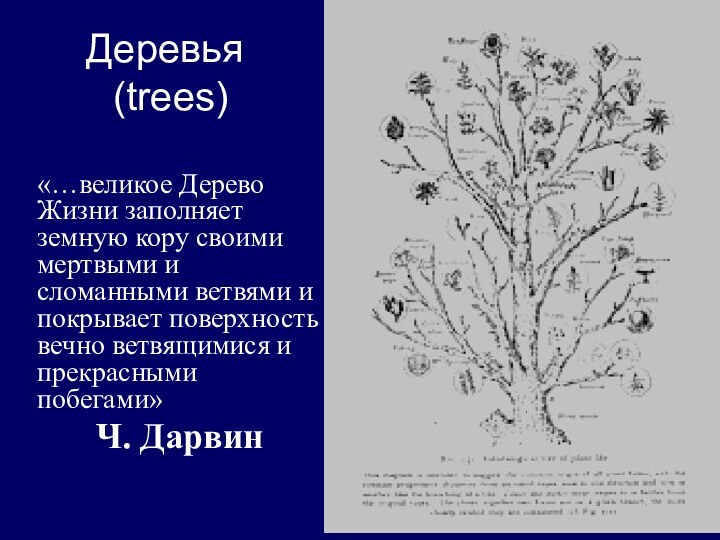 Деревья  (trees)«…великое Дерево Жизни заполняет земную кору своими мертвыми и сломанными