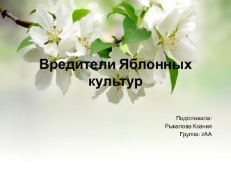 Вредители Яблонных культур