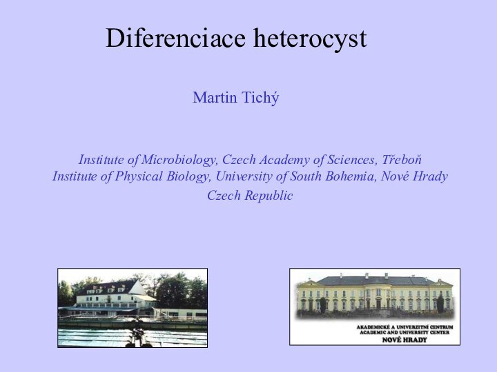 Diferenciace heterocyst  Martin Tichý Martin Tichý Institute of Microbiology, Czech