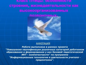 Класс Птицы: особенности строения и жизнедеятельности