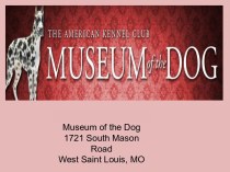 Музей собак